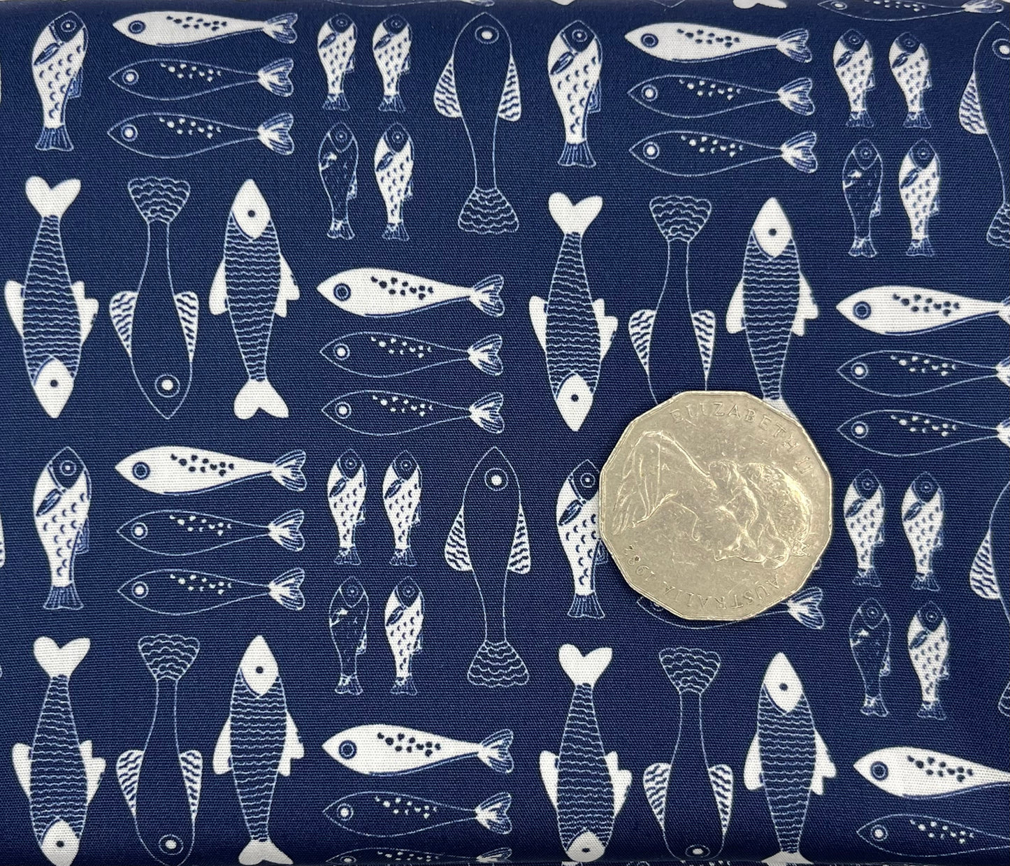 Fish on Navy