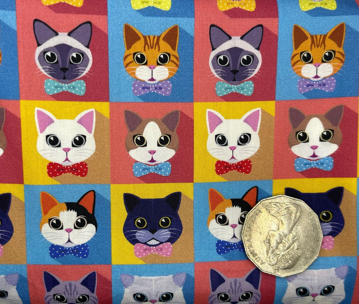Cats on Couloured Squares