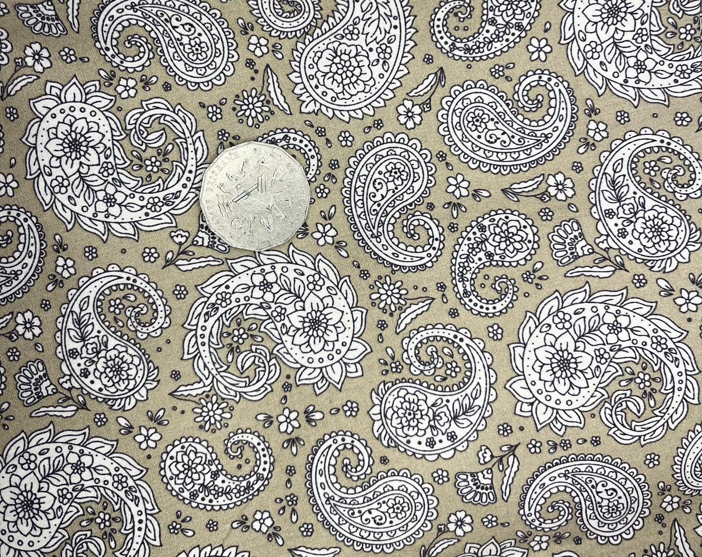 Paisley Khaki and Cream