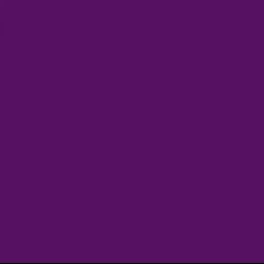 Purple Tone #5 - Dark Mango Purple