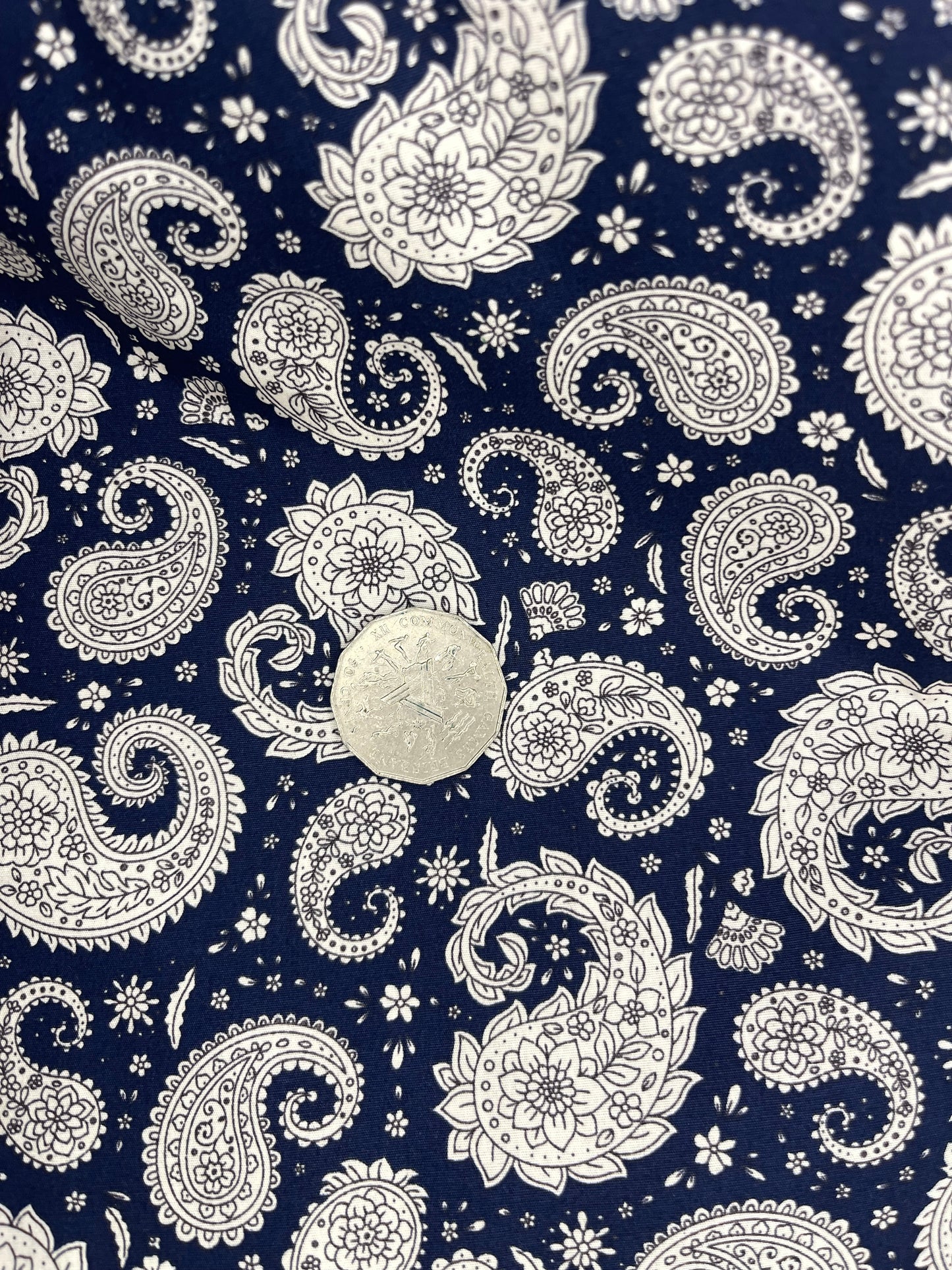 Paisley White and Navy