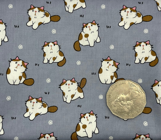 Tabby Cats on Grey