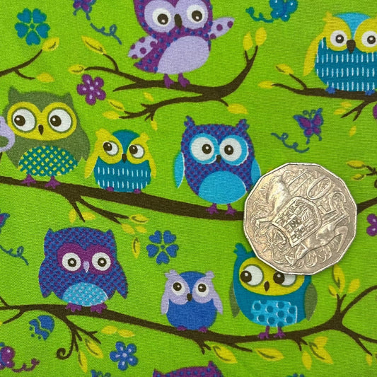 Owls on Branches with Green Background