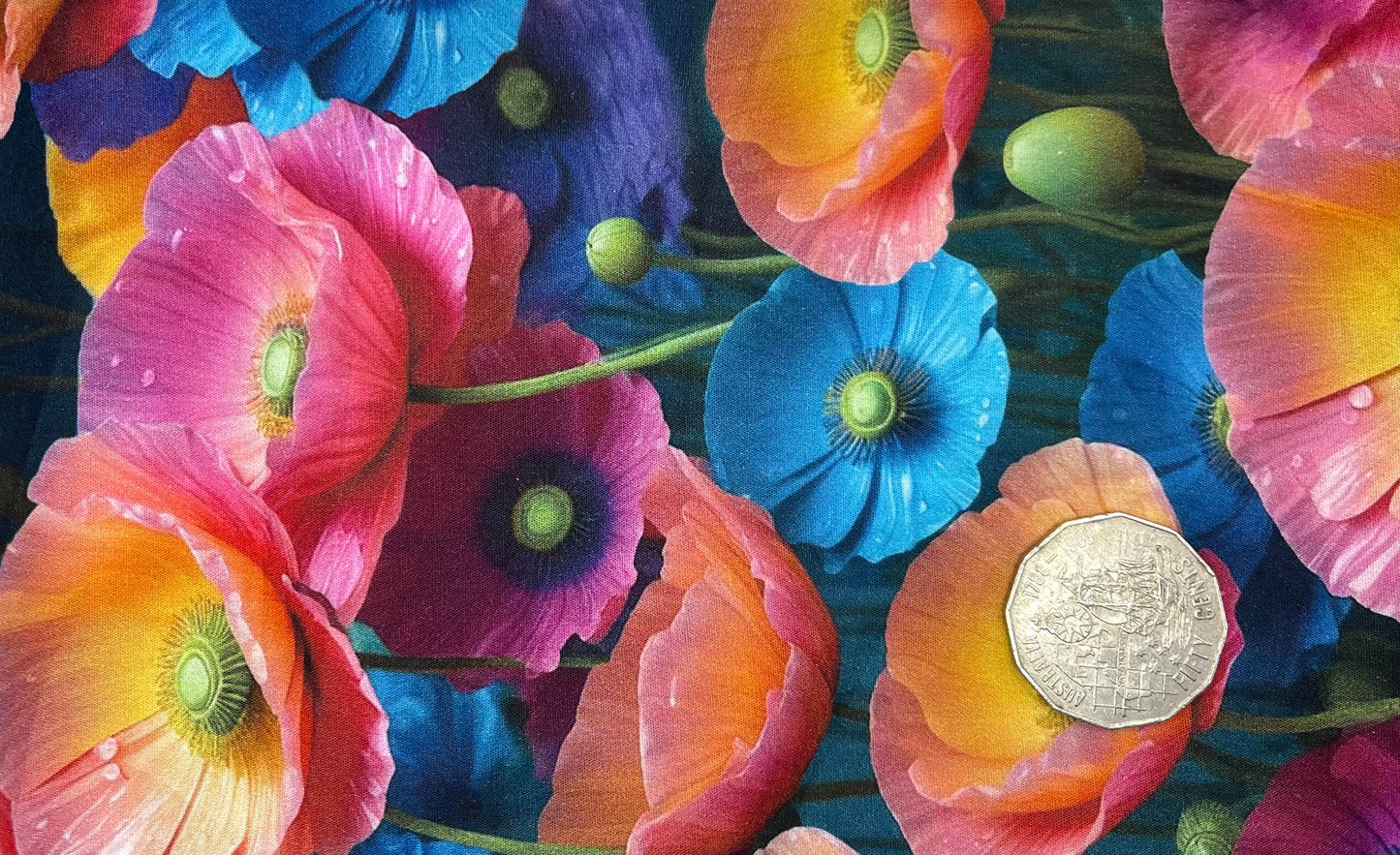 Colourful Poppies