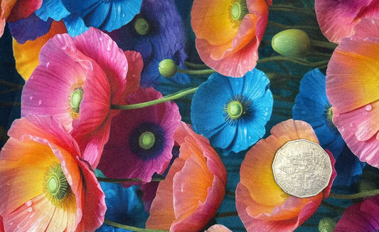 Colourful Poppies