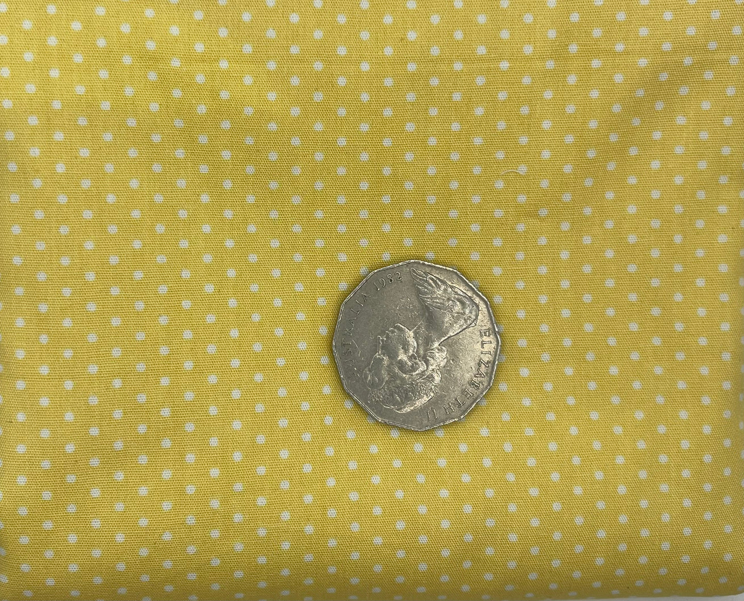 Lemon with White Dots