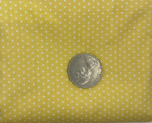 Lemon with White Dots