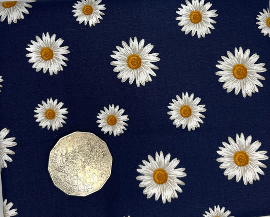 Daisies on Navy