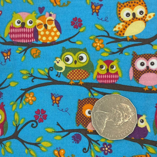 Owls on Branches with Blue Background