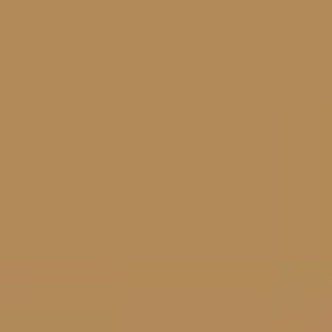 Orange Tone #9 - Light Brown