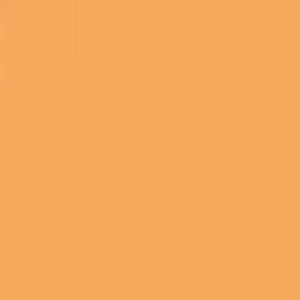 Orange Tone #2 - Sweet Orange