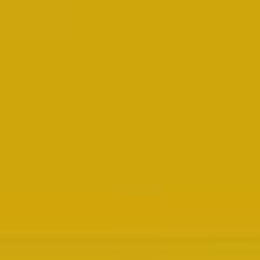 Yellow Tone #8- Turmeric Yellow